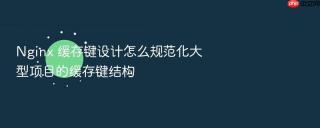 Nginx 缓存键设计怎么规范化大型项目的缓存键结构