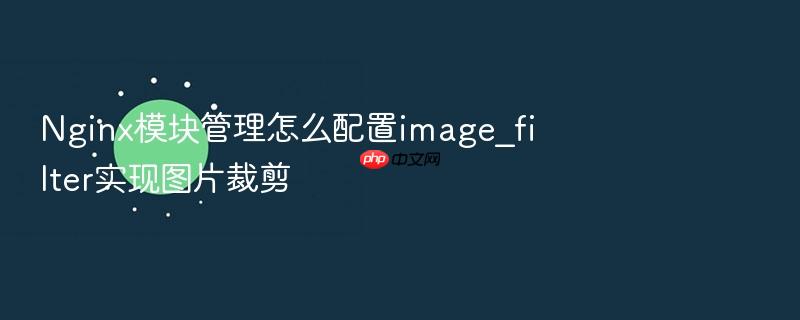 nginx模块管理怎么配置image_filter实现图片裁剪