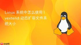 Linux 系统中怎么使用 lvextend 动态扩容文件系统大小