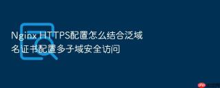 Nginx HTTPS配置怎么结合泛域名证书配置多子域安全访问