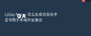 Linux Nginx 怎么生成自签名字证书用于本地开发测试