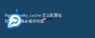 Nginx proxy_cache 怎么配置临时文件目录与缓存同盘