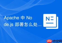 Apache 中 Node.js 部署怎么处理跨域预检请求 OPTIONS 转发