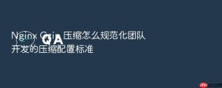 nginx gzip 压缩怎么规范化团队开发的压缩配置标准
