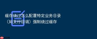 缓存绕过怎么配置特定业务目录（如支付回调）强制绕过缓存
