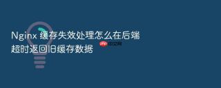 nginx 缓存失效处理怎么在后端超时返回旧缓存数据
