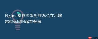 Nginx 缓存失效处理怎么在后端超时返回旧缓存数据
