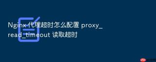 nginx 代理超时怎么配置 proxy_read_timeout 读取超时