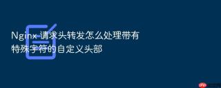 nginx 请求头转发怎么处理带有特殊字符的自定义头部
