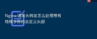 Nginx 请求头转发怎么处理带有特殊字符的自定义头部