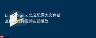 linux nginx 怎么配置大文件断点续传支持视频在线播放
