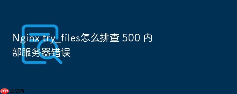 nginx try_files怎么排查 500 内部服务器错误