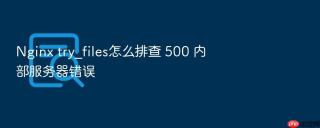 Nginx try_files怎么排查 500 内部服务器错误