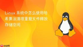 linux 系统中怎么使用哈希算法清理重复文件释放存储空间