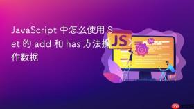javascript 中怎么使用 set 的 add 和 has 方法操作数据
