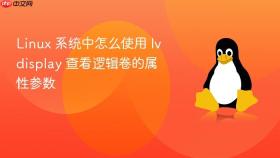 linux 系统中怎么使用 lvdisplay 查看逻辑卷的属性参数