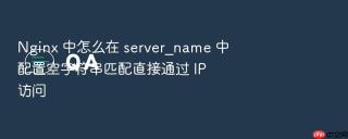 nginx 中怎么在 server_name 中配置空字符串匹配直接通过 ip 访问