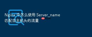 nginx 中怎么使用 server_name 匹配空主机头的流量