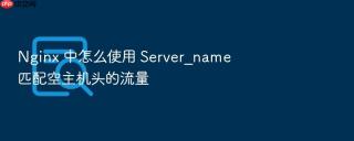 Nginx 中怎么使用 Server_name 匹配空主机头的流量