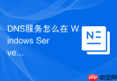 DNS服务怎么在 Windows Server 中安装与配置 DNS 服务器角色