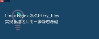linux nginx 怎么用 try_files 实现多域名共用一套静态源码