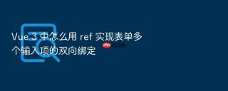 Vue 3 中怎么用 ref 实现表单多个输入项的双向绑定