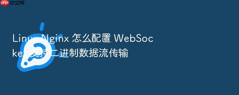 linux nginx 怎么配置 websocket 支持二进制数据流传输