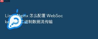linux nginx 怎么配置 websocket 支持二进制数据流传输