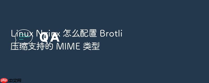 linux nginx 怎么配置 brotli 压缩支持的 mime 类型