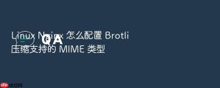 linux nginx 怎么配置 brotli 压缩支持的 mime 类型