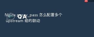Nginx proxy_pass 怎么配置多个 upstream 组的联动