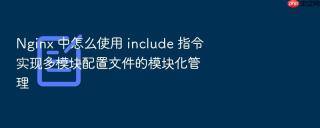 nginx 中怎么使用 include 指令实现多模块配置文件的模块化管理