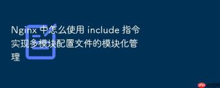 Nginx 中怎么使用 include 指令实现多模块配置文件的模块化管理