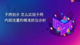 子网划分 怎么实现子网内部流量的精准抓包分析