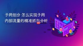 子网划分 怎么实现子网内部流量的精准抓包分析