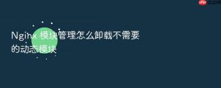 Nginx 模块管理怎么卸载不需要的动态模块