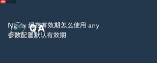 nginx 缓存有效期怎么使用 any 参数配置默认有效期