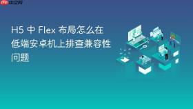 h5 中 flex 布局怎么在低端安卓机上排查兼容性问题