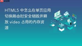 html5 中怎么在单页应用切换路由时安全销毁并释放 video 占用的内存资源