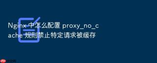 Nginx 中怎么配置 proxy_no_cache 规则禁止特定请求被缓存