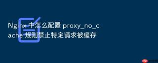 nginx 中怎么配置 proxy_no_cache 规则禁止特定请求被缓存