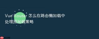 Vue Router 怎么在路由懒加载中处理预加载策略