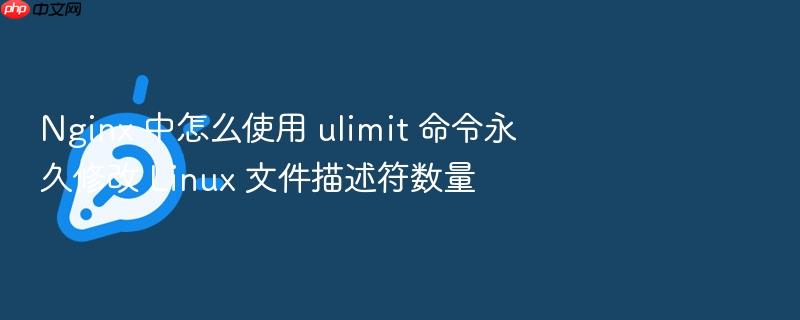 nginx 中怎么使用 ulimit 命令永久修改 linux 文件描述符数量