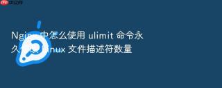 nginx 中怎么使用 ulimit 命令永久修改 linux 文件描述符数量