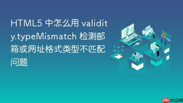 html5 中怎么用 validity.typemismatch 检测邮箱或网址格式类型不匹配问题