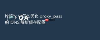 nginx 中怎么优化 proxy_pass 的 dns 解析缓存配置