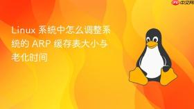 Linux 系统中怎么调整系统的 ARP 缓存表大小与老化时间
