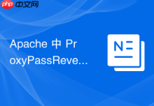 Apache 中 ProxyPassReverse 怎么处理多域名跳转冲突