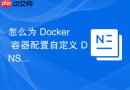怎么为 Docker 容器配置自定义 DNS