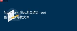 Nginx try_files怎么结合 root 指令正确寻找文件